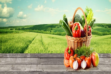 Organic Food Producers